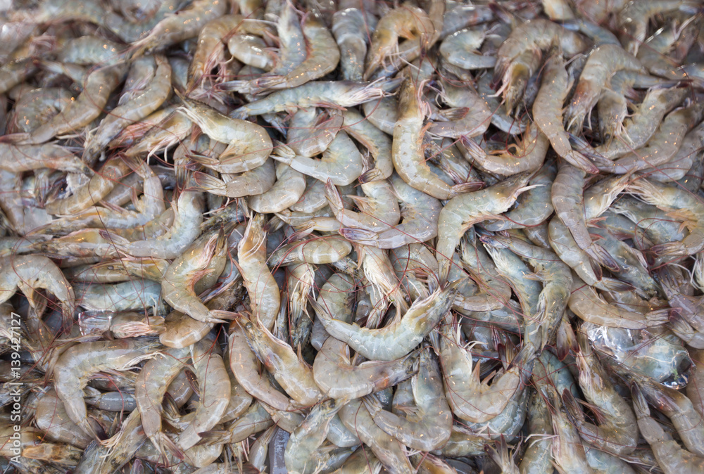 fresh shrimp fresh shrimp
