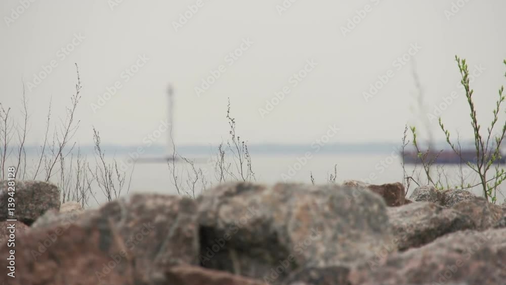 St. Petersburg. Gulf of Finland
Lighthouse. St. Petersburg. Gulf of Finland
Lighthouse.