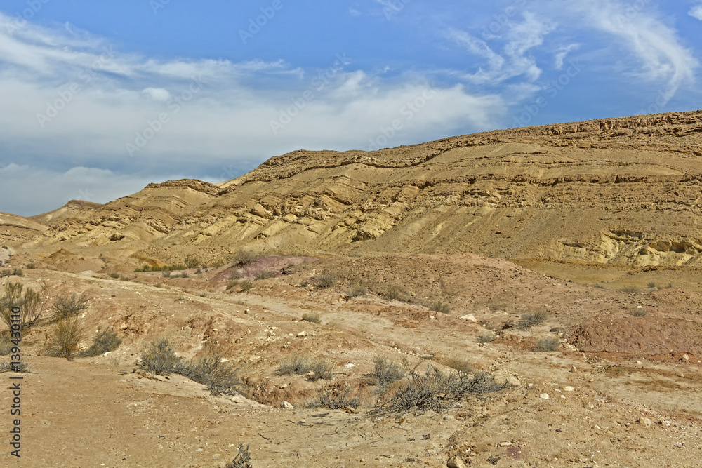 Arid desert in Israel.
Arid desert in Israel.