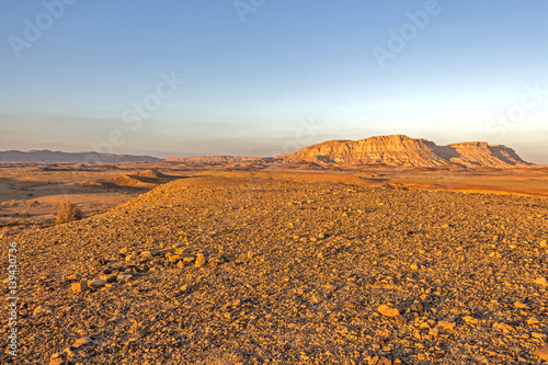 Arid desert in Israel. 