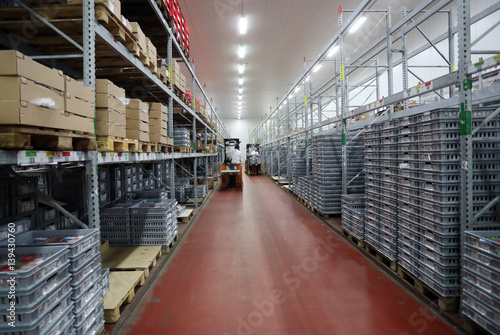 Warehouse with meat products photo