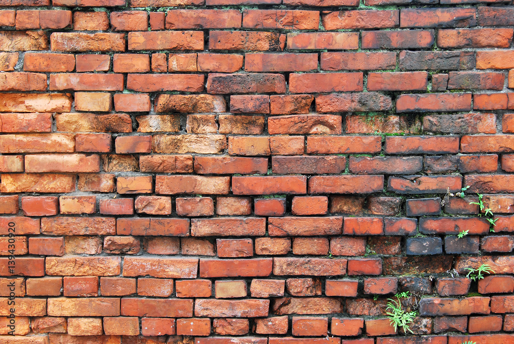 Obraz premium Red brick wall background. There are some grass in the cracks of the bricks.