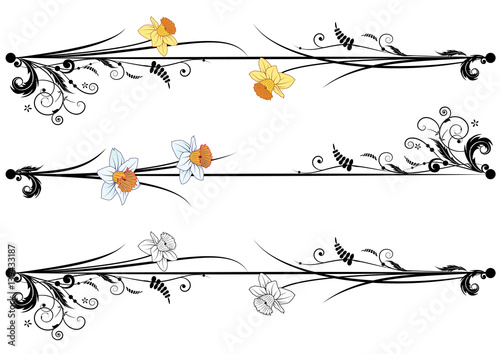 set of spring dividing
