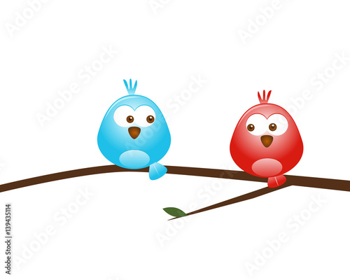 Blue and red bird