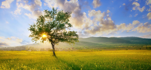 Fototapete Bäume Farbenfrohe Naturlandschaft in Grün und Blau  © Svetoslav Sokolov