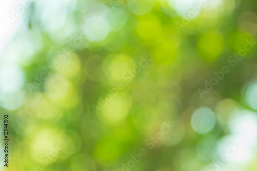 Abstract nature blurred circle green bokeh for Christmas or celebration light holiday background.