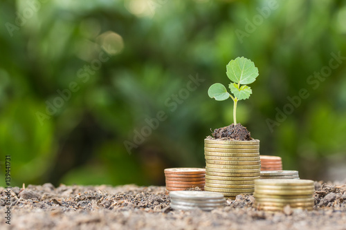 Stacked coins placed on the soil and seedling on top.