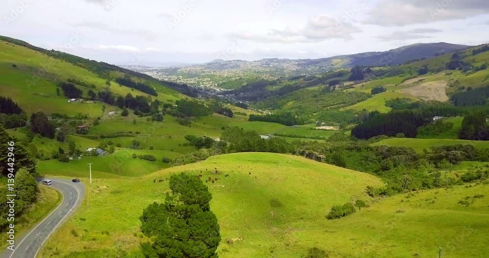 Aerial view of Dunedin Town and Grassland, New Zealand Aerial view of Dunedin Town and Grassland, New Zealand