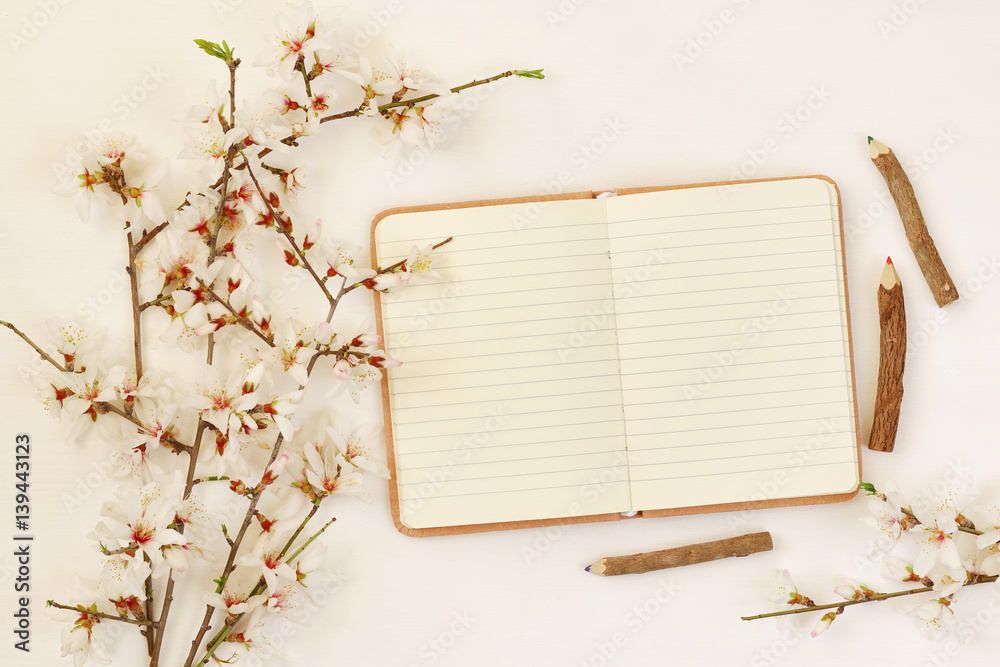 spring white cherry blossoms tree and open notebook