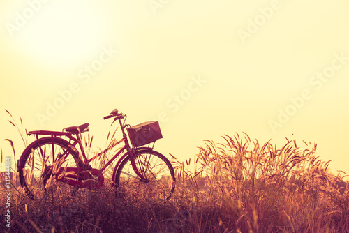 beautiful landscape image with Bicycle at summer grass field.classic bicycle,old bicycle style for greeting Cards ,post card © Looker_Studio