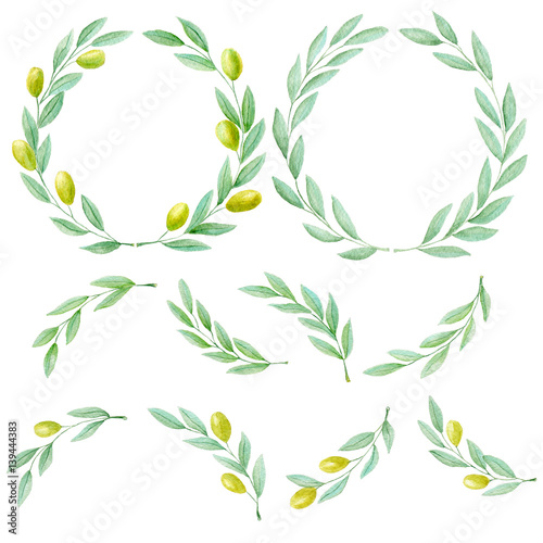 Set of watercolor hand drawn green olive branch