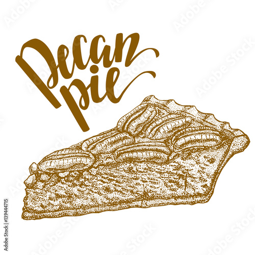vector hand drawn illustration of pecan pie