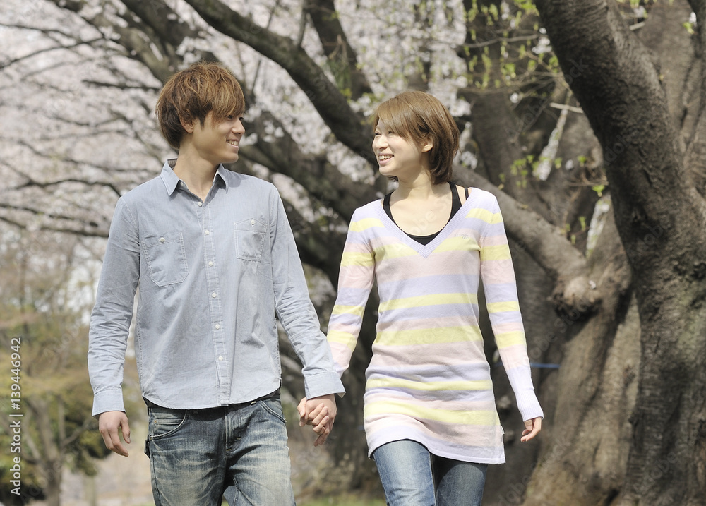 満開の桜並木を散歩するカップル