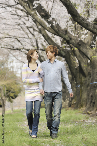 満開の桜並木を散歩する若いカップル