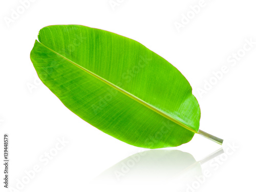 Banana Leaf isolated on white background