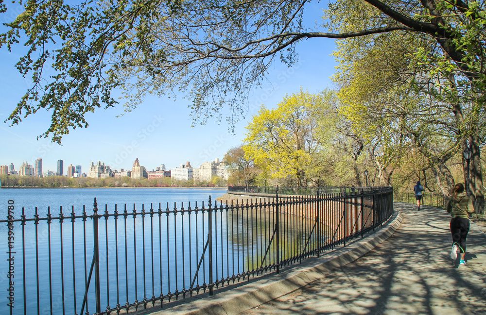 View of Central park at sunny spring day View of Central park at sunny spring day