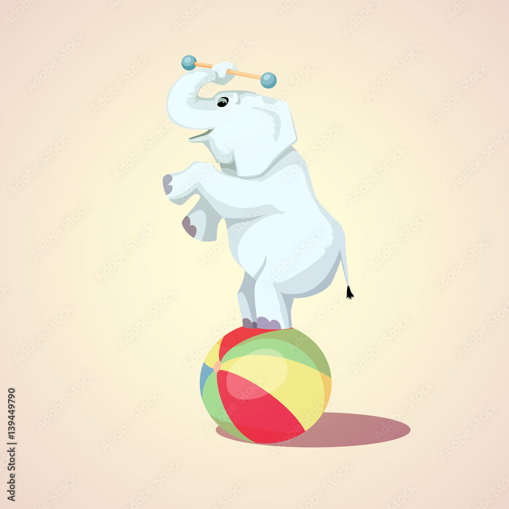 Fototapeta premium Happy cartoon Circus Elephant on the ball vector illustration