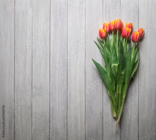 top view of the layout of tulips