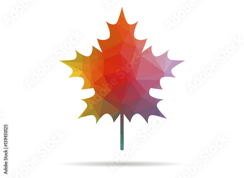 low poly leaf