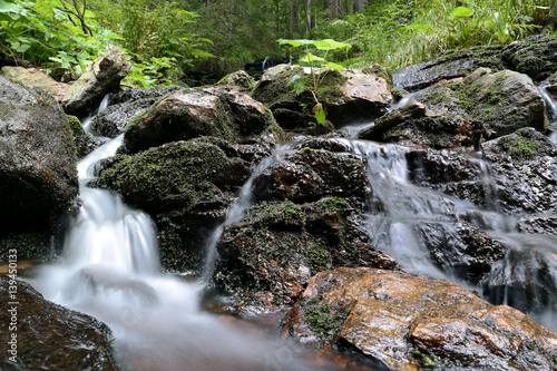 Fototapeta Naklejka Na Ścianę i Meble -  Small waterfall in the forest