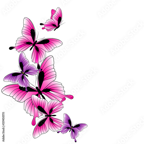 violet butterflies,watercolor,isolated on a white