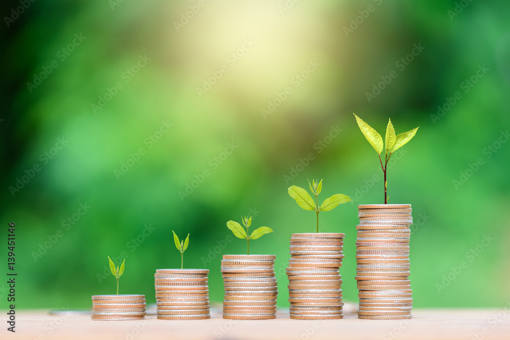 Business Finance and Money concept, Money coin stack growing graph with green bokeh background,investment concept