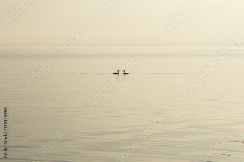 Begegnung im Sonnenuntergang auf dem Bodensee