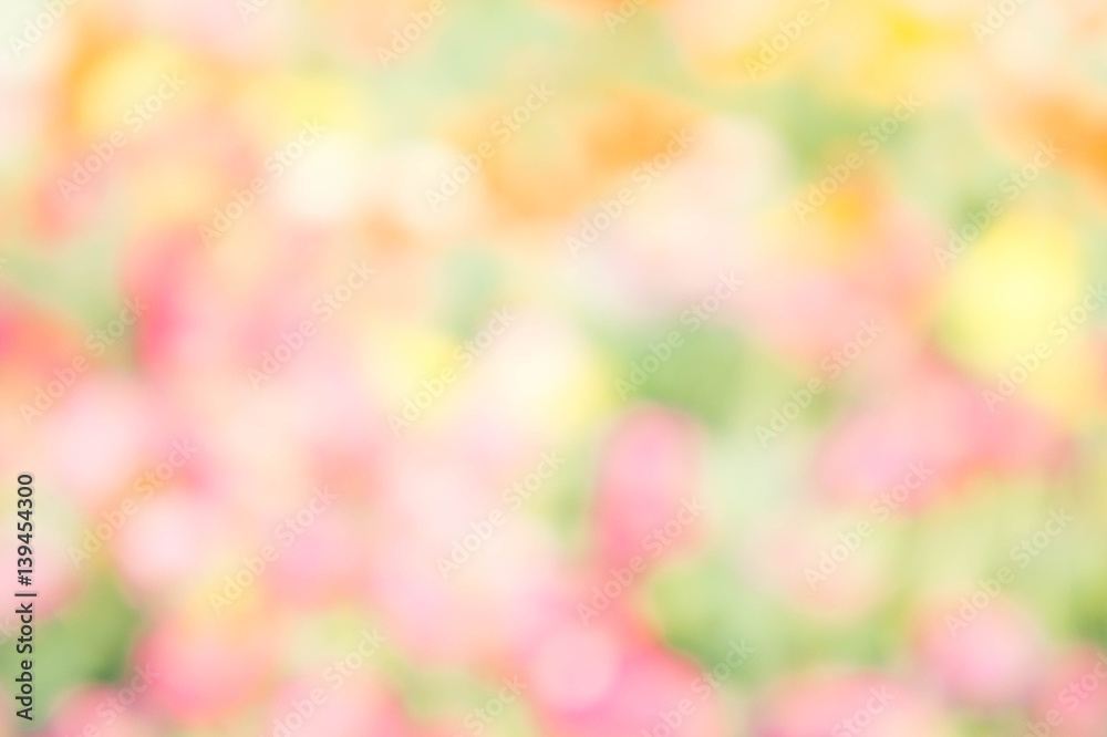 abstract blur color nature flower outdoor style background yellow pink  green mix colorful Stock Photo | Adobe Stock