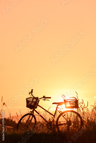 beautiful landscape image with Silhouette vintage Bicycle at sunset.classic bicycle, for greeting Cards ,post card © Looker_Studio