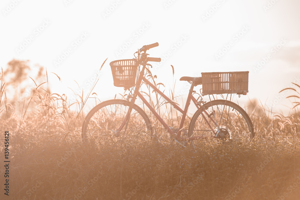 beautiful landscape image with vintage Bicycle at sunset