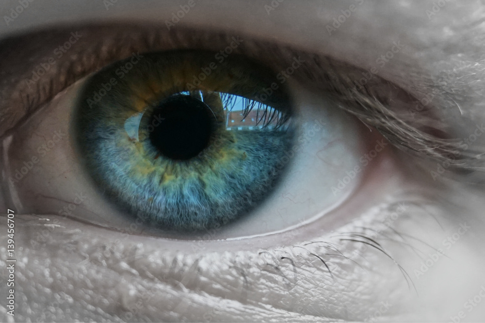 Naklejka premium Blue eye