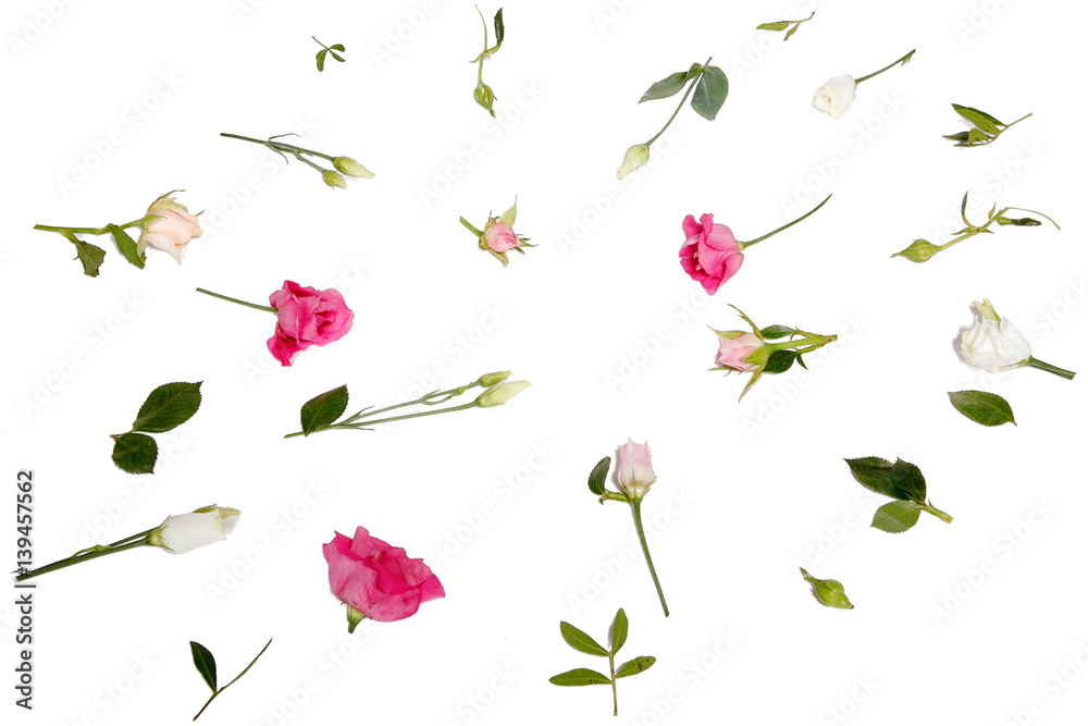 custom made wallpaper toronto digitala pattern of pink flowers