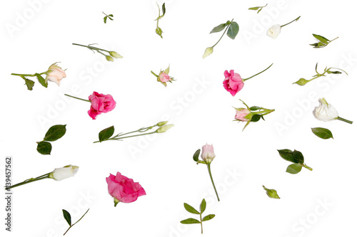 Wallpaper Mural a pattern of pink flowers Torontodigital.ca