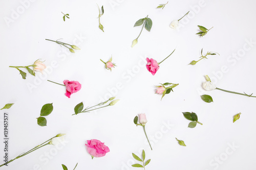 Wallpaper Mural a pattern of pink flowers Torontodigital.ca