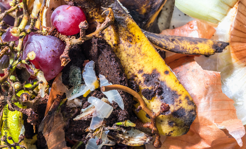 Restos de cascas e frutas.