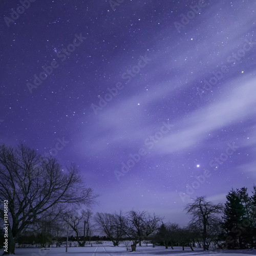 Moonlit stars, trees and track with clouds