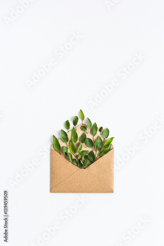 opened craft paper envelope filled with green leavess on white background. healthy lifestyle offer. Care about environment. Recycling and using trees and nature resources concept . top view. flat lay. photo