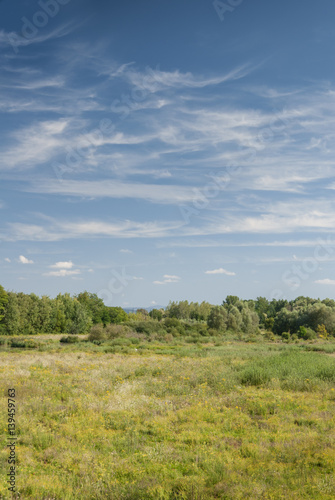 R  serve naturelle de la petite Camargue Alsacienne  Saint-Louis