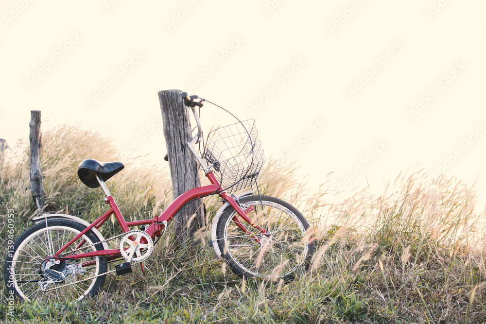 Fototapeta premium Hipster bicycle on grass field ,Concept journey,hipster tone