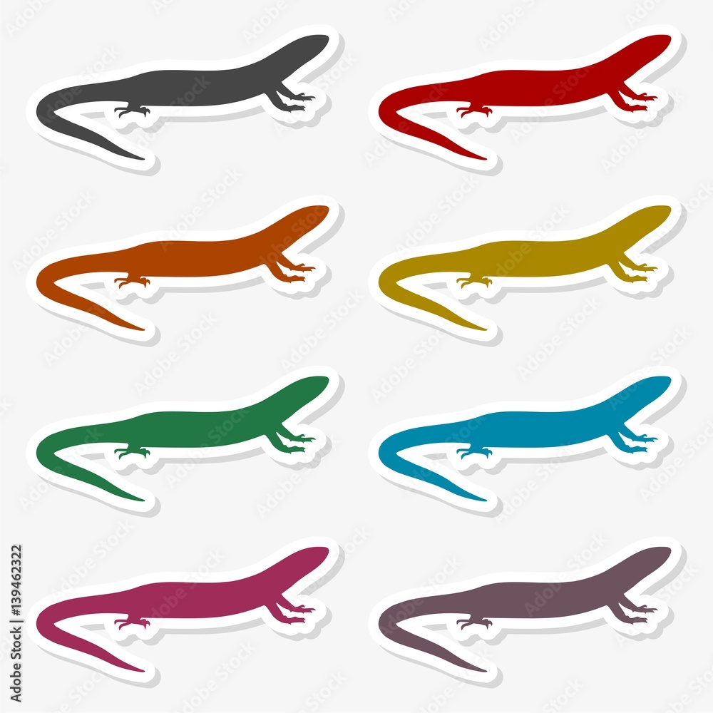 Lizard icon vector - Illustration Lizard icon vector - Illustration