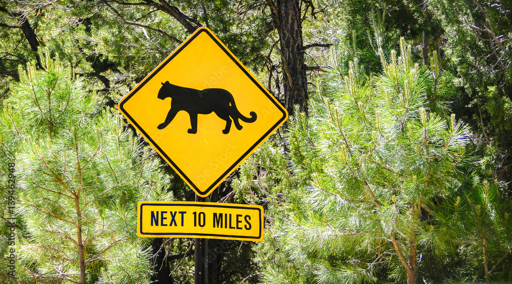 puma sign wild animals woodland crossing next 10 miles usa road sign