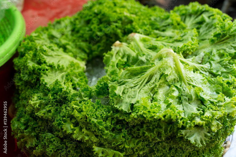 Lettuce cabbage green in wet market Lettuce cabbage green in wet market