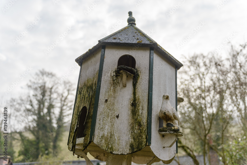 Old feeder for birds on a tree in the park