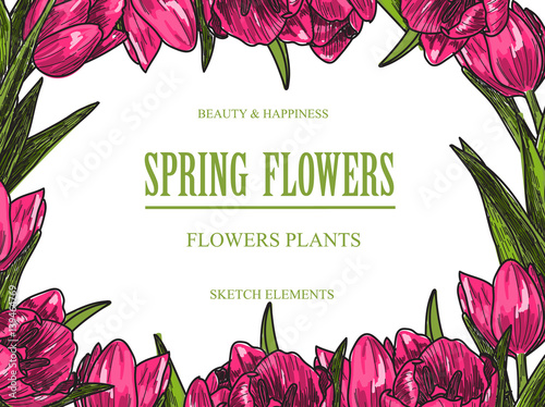 Vector design banner for flower shop and floristic shop with hand drawn flowers illustration. Vintage bouquet sketch background