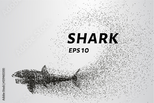The shark from the particle. The shark consists of circles and points. Vector illustration