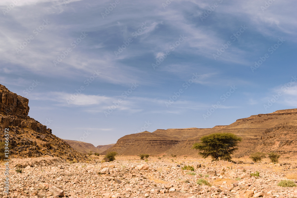 Dry river Wadi Draa near Zagora, Morocco Dry river Wadi Draa near Zagora, Morocco