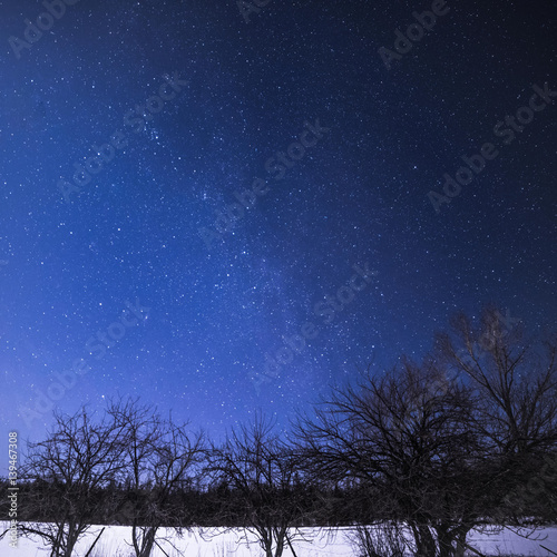 Rural Winter Landscape at night with trees and stars