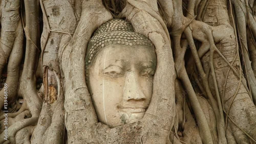 Buddha head embedded in a Banyan tree. Wat Wat Maha That, Ayutthaya. Slider stock footage.
Buddha head embedded in a Banyan tree. Wat Wat Maha That, Ayutthaya. Slider stock footage.