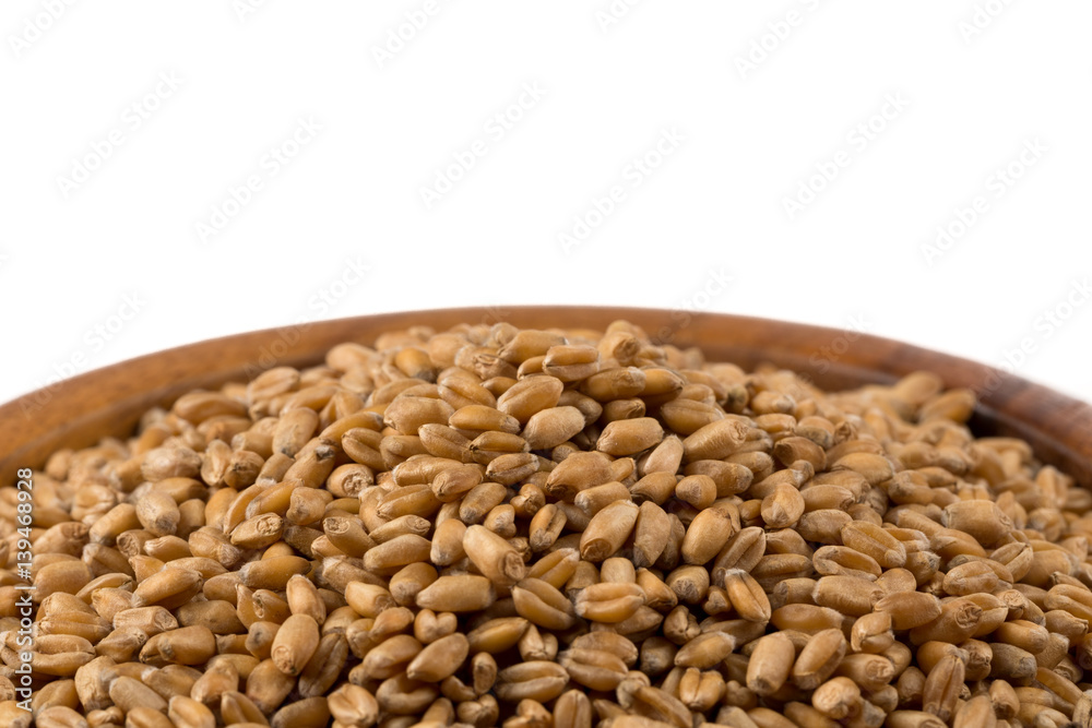 Wheat grain in bowl Wheat grain in bowl