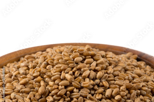 Wheat grain in bowl